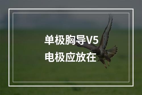 单极胸导V5电极应放在