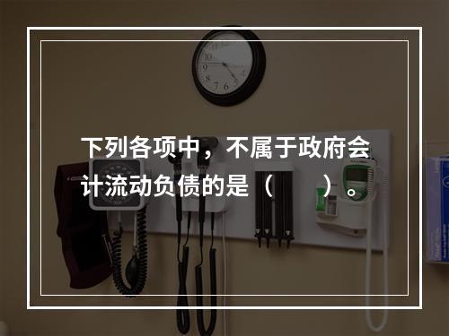 下列各项中，不属于政府会计流动负债的是（　　）。