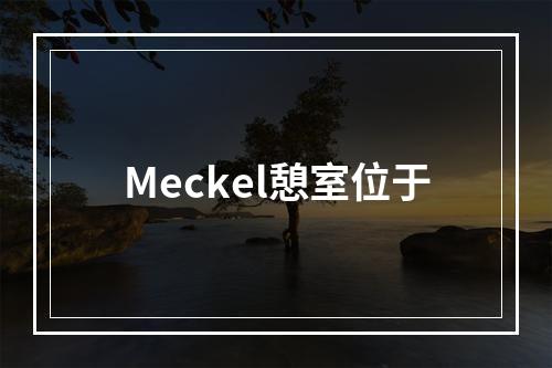 Meckel憩室位于