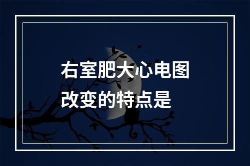 右室肥大心电图改变的特点是