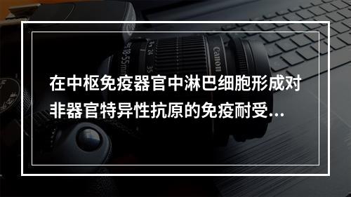 在中枢免疫器官中淋巴细胞形成对非器官特异性抗原的免疫耐受是经