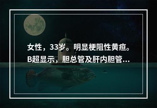 女性，33岁。明显梗阻性黄疸。B超显示，胆总管及肝内胆管均不