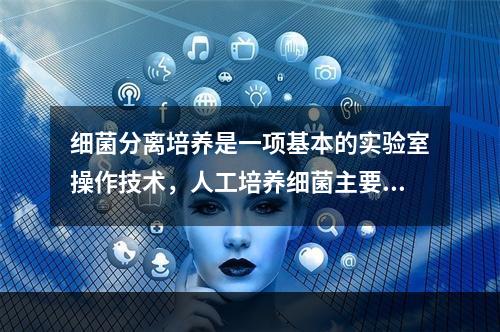 细菌分离培养是一项基本的实验室操作技术，人工培养细菌主要用于