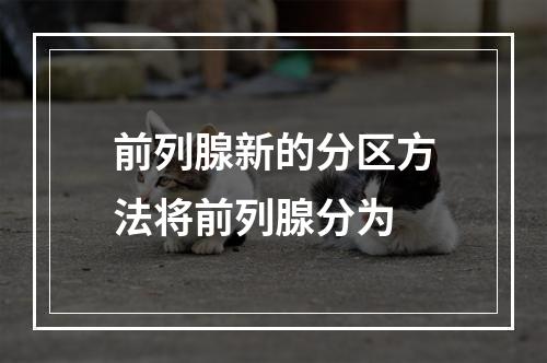 前列腺新的分区方法将前列腺分为