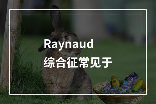 Raynaud综合征常见于