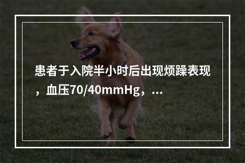 患者于入院半小时后出现烦躁表现，血压70/40mmHg，发生