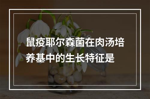 鼠疫耶尔森菌在肉汤培养基中的生长特征是