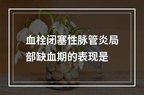 血栓闭塞性脉管炎局部缺血期的表现是