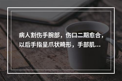 病人割伤手腕部，伤口二期愈合，以后手指呈爪状畸形，手部肌肉明