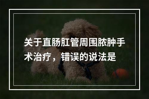 关于直肠肛管周围脓肿手术治疗，错误的说法是