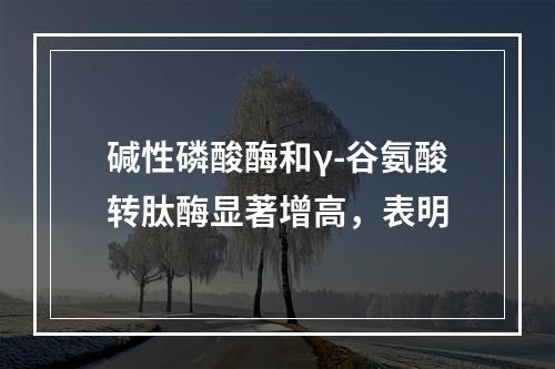 碱性磷酸酶和γ-谷氨酸转肽酶显著增高，表明