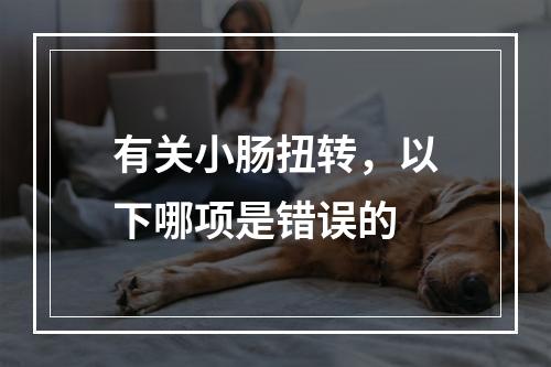 有关小肠扭转，以下哪项是错误的