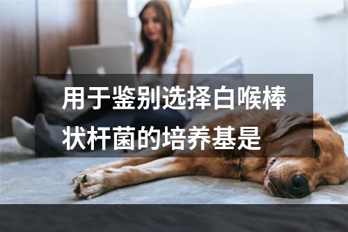 用于鉴别选择白喉棒状杆菌的培养基是