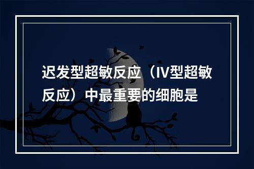 迟发型超敏反应（Ⅳ型超敏反应）中最重要的细胞是