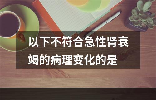 以下不符合急性肾衰竭的病理变化的是