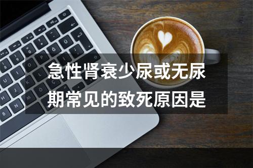 急性肾衰少尿或无尿期常见的致死原因是