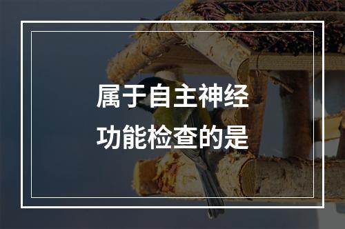 属于自主神经功能检查的是