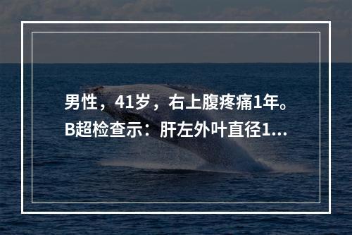 男性，41岁，右上腹疼痛1年。B超检查示：肝左外叶直径10c