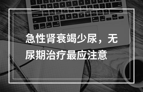 急性肾衰竭少尿，无尿期治疗最应注意