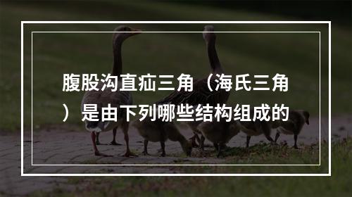 腹股沟直疝三角（海氏三角）是由下列哪些结构组成的