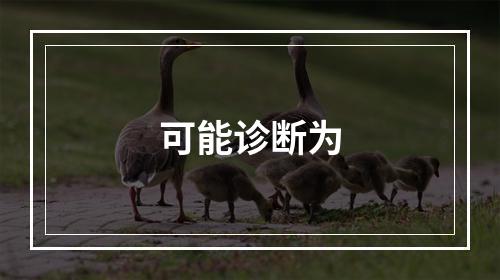 可能诊断为