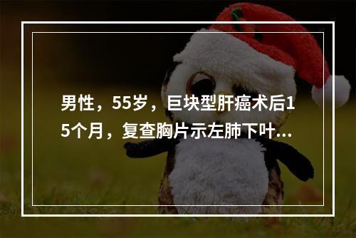 男性，55岁，巨块型肝癌术后15个月，复查胸片示左肺下叶单个