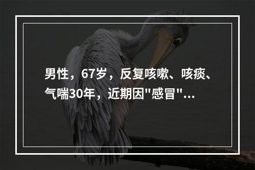 男性，67岁，反复咳嗽、咳痰、气喘30年，近期因