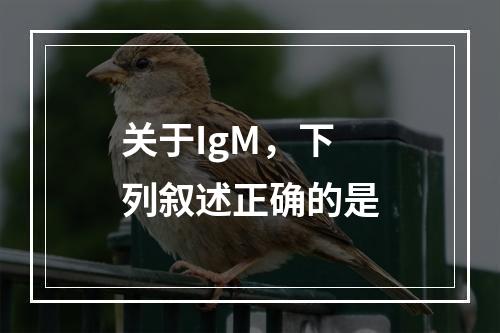 关于IgM，下列叙述正确的是