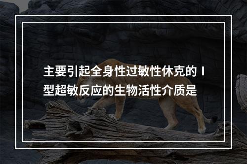 主要引起全身性过敏性休克的Ⅰ型超敏反应的生物活性介质是