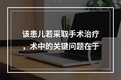 该患儿若采取手术治疗，术中的关键问题在于