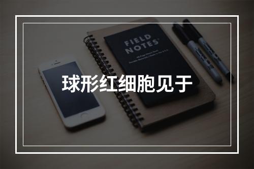 球形红细胞见于