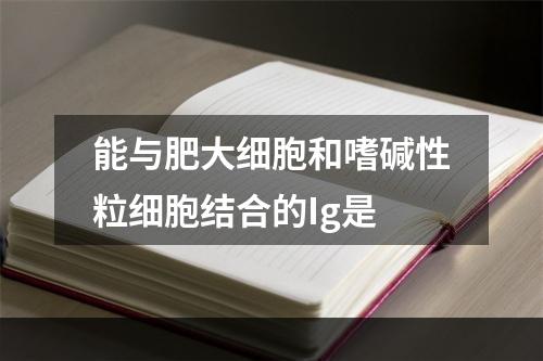 能与肥大细胞和嗜碱性粒细胞结合的Ig是