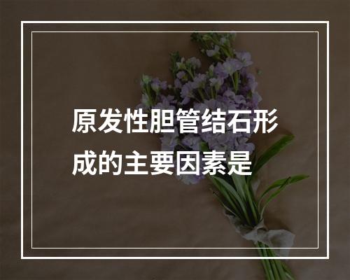 原发性胆管结石形成的主要因素是