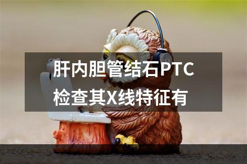 肝内胆管结石PTC检查其X线特征有