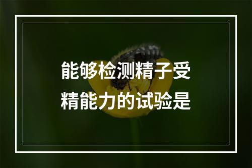 能够检测精子受精能力的试验是