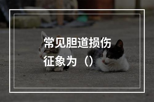 常见胆道损伤征象为（）