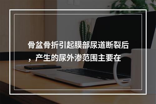 骨盆骨折引起膜部尿道断裂后，产生的尿外渗范围主要在