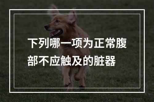 下列哪一项为正常腹部不应触及的脏器