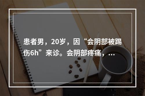 患者男，20岁，因“会阴部被踢伤6h”来诊。会阴部疼痛，稍肿