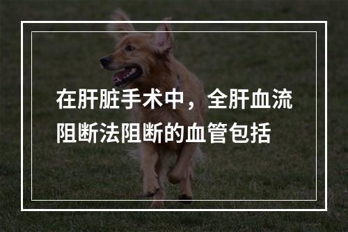 在肝脏手术中，全肝血流阻断法阻断的血管包括