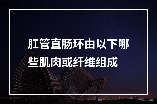 肛管直肠环由以下哪些肌肉或纤维组成