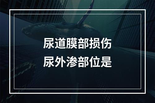 尿道膜部损伤尿外渗部位是