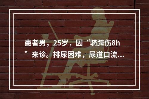 患者男，25岁，因“骑跨伤8h”来诊。排尿困难，尿道口流血，