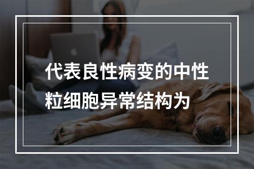 代表良性病变的中性粒细胞异常结构为