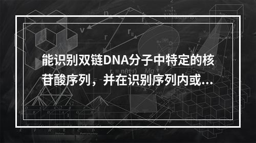 能识别双链DNA分子中特定的核苷酸序列，并在识别序列内或附近