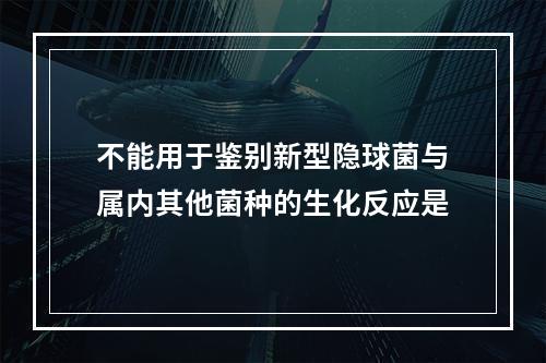 不能用于鉴别新型隐球菌与属内其他菌种的生化反应是