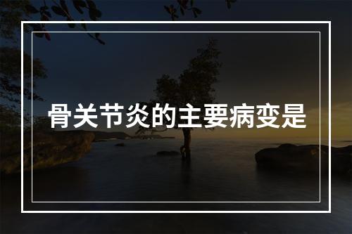 骨关节炎的主要病变是