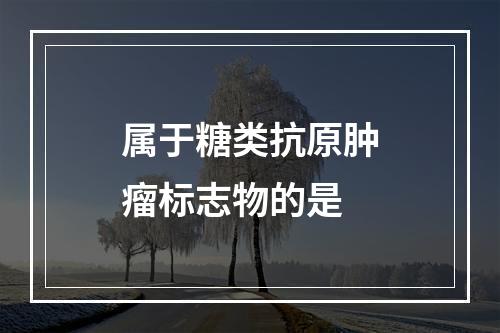 属于糖类抗原肿瘤标志物的是