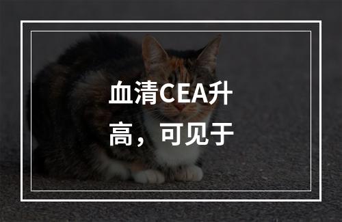 血清CEA升高，可见于