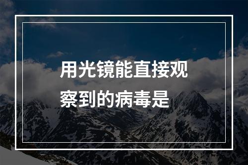 用光镜能直接观察到的病毒是